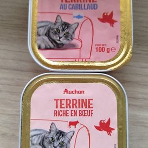 Terrine pour chat 🐱