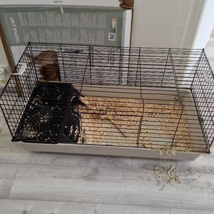 Cage lapin
