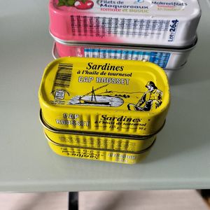 Conserves sardines et maquereaux 
