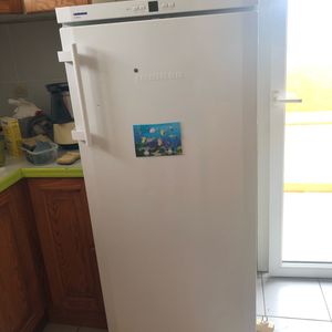 Réfrigérateur Liebherr 
