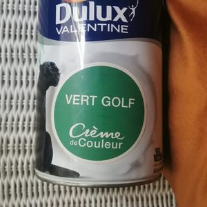 Pot peinture verte Dulux Valentine