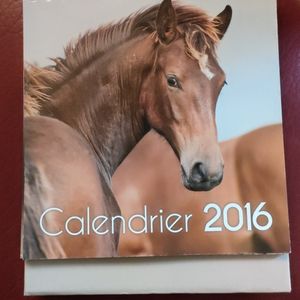 Calendrier Chevaux 2016