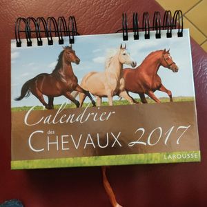 Calendrier Chevaux 2017