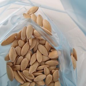 Graines concombre marketmore bio