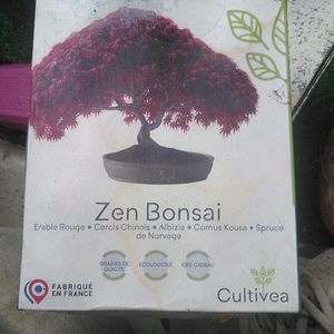 Kit pour bonsaï 