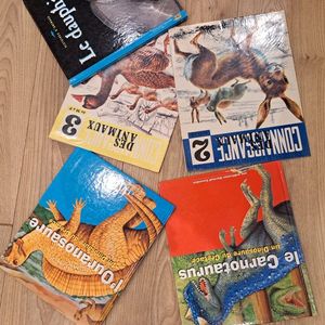 Lot livres animaux et dinosaures 