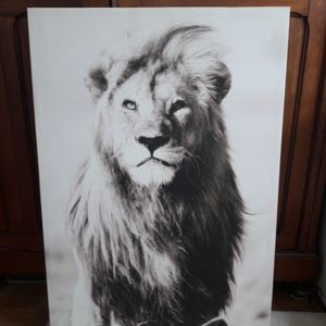 Grande toile sur cadre 100x70 Lion
