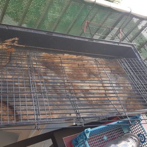 Grande cage à lapin