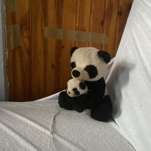 Peluche 🐼 panda 