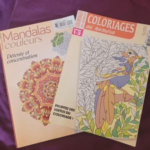 2 magazines de coloriage adulte