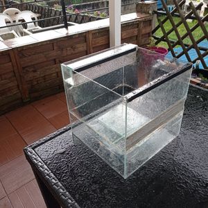 Petit terrarium en verre