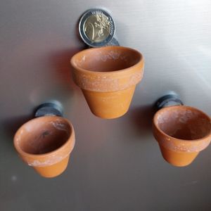 3 mini pots pour cactées