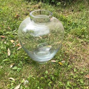 Vase en verre transparent 