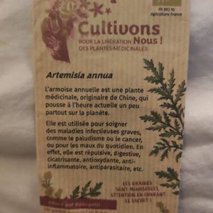 Graines Artemisia