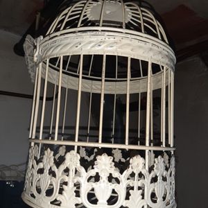 Cage oiseau 30 cm