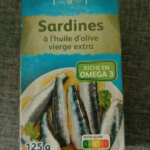 Sardine 
