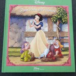 Livre Disney princesse 