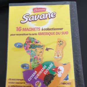 Magnet savane Amerique du sud