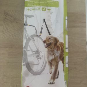 Laisse vélo chien 
