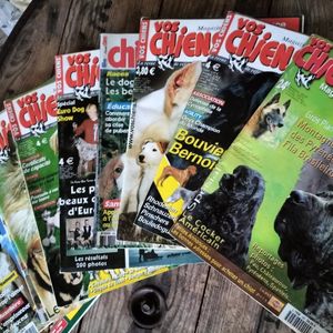 Magazines chiens