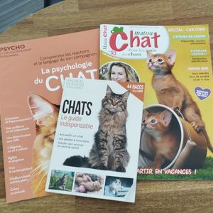 Magazines chat