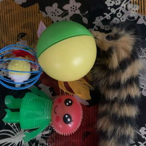 Jouets chat