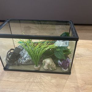 Aquarium poisson + accessoires 