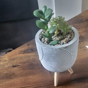 Donne petit pot avec fausse plante intégrée. 