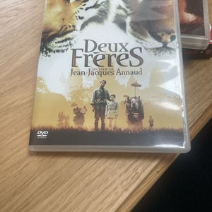 DVD Deux Frères (Jean jecques Annaud)