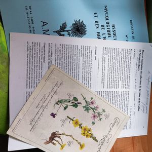 Fascicules sur la flore et champignons années 90