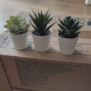 Mini plantes en plastique 
