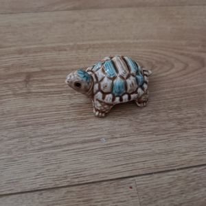 Petite tortue