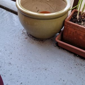 Pot pour l'extérieur 
