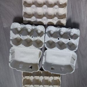 Carton d'œufs 
