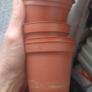 5 petits pots pour semis plusieurs volumes 