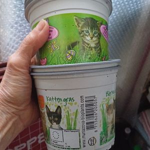 5 anciens pots d herbe a chat
