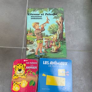 Lot b livres enfants
