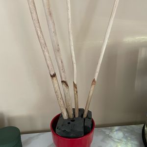 Pot intérieur fleurs + mousse et bâton de bois