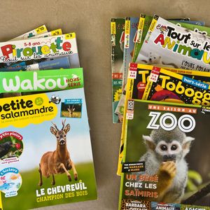 Magazines pour enfant 4-8 ans