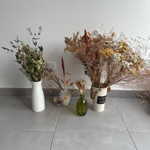 Vases et fleurs séchées 