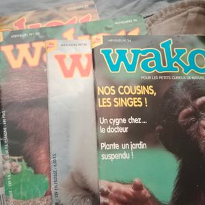 4 magazine wakou 
