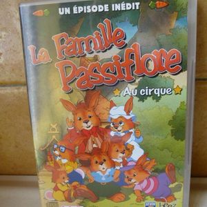 DVD ENFANT la famille passiflore