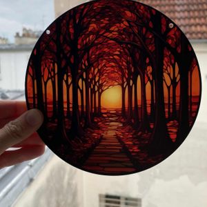 Disque coloré 