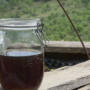 Jus de lombricomposte