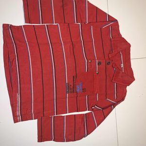 Polo ML captain tortue 