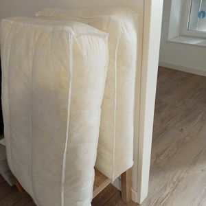 Deux coussins pour canapé 