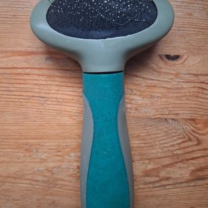 Brosse ovale