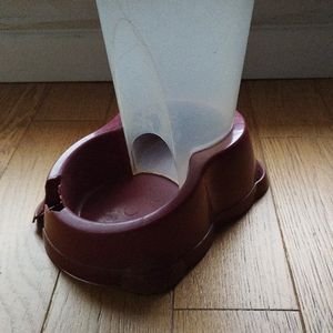 Distributeur de croquettes pour chat