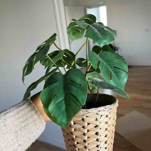 Fausses plantes + pot