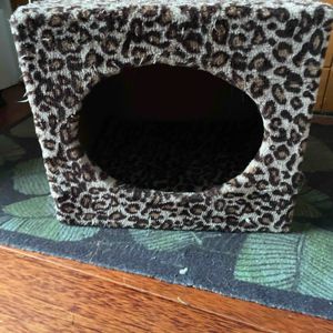 Boite chat leopard